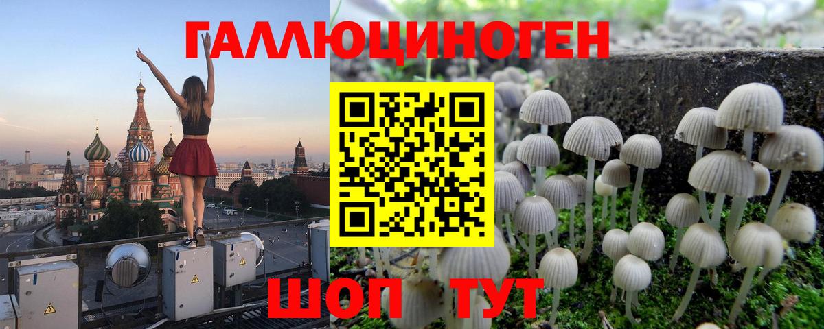 Псилоцибиновые грибы Cubensis  Вход с VPN  Моздок  Галлюциногенные грибы Magic Shrooms 