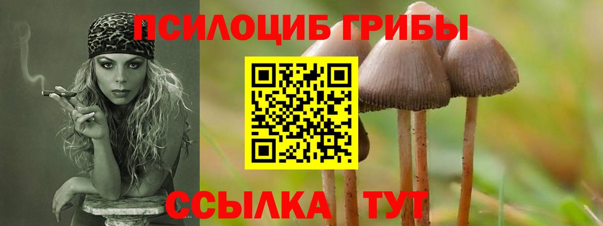 Галлюциногенные грибы MAGIC MUSHROOMS Моздок